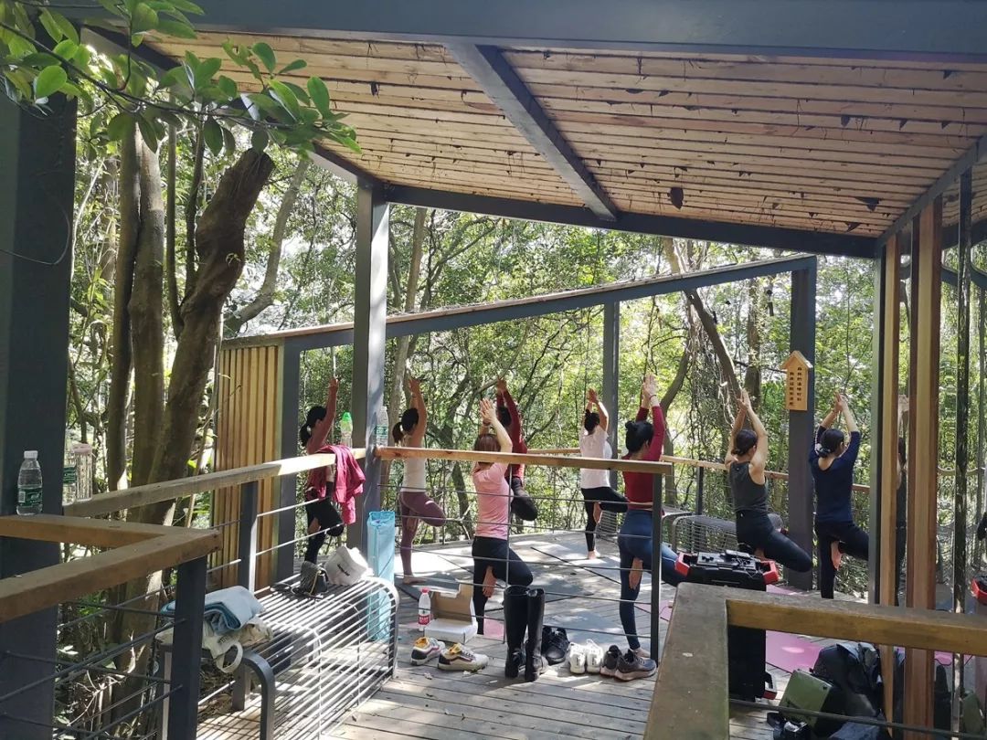 象头山分会场活动——森林瑜伽.