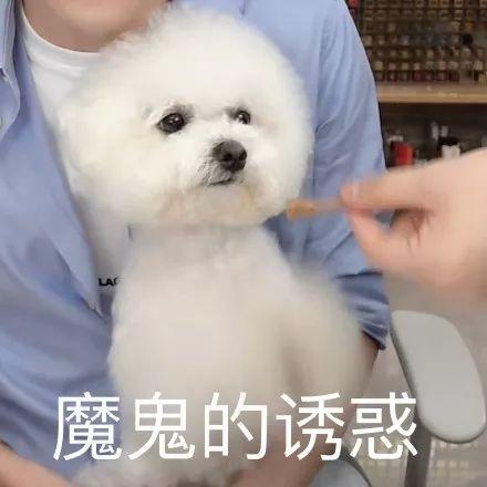 他能让每个女生都真正感受到,最重要的是,本颜狗怒吼这真的可以直接