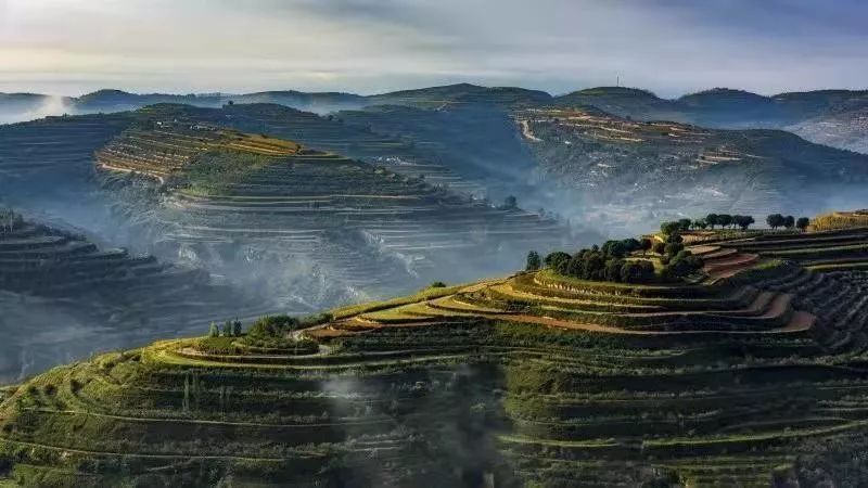 彭阳梯田写就在青山绿水中的壮美画卷