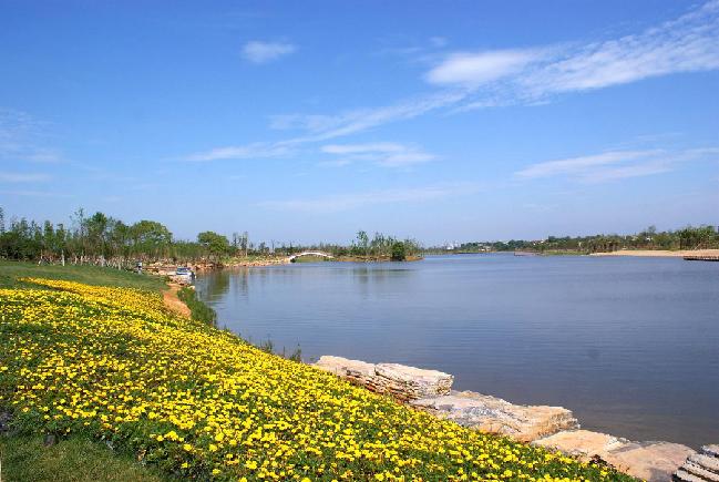 "臭水沟"蝶变"景观湖":株洲"河长制"落实绿色发展理念