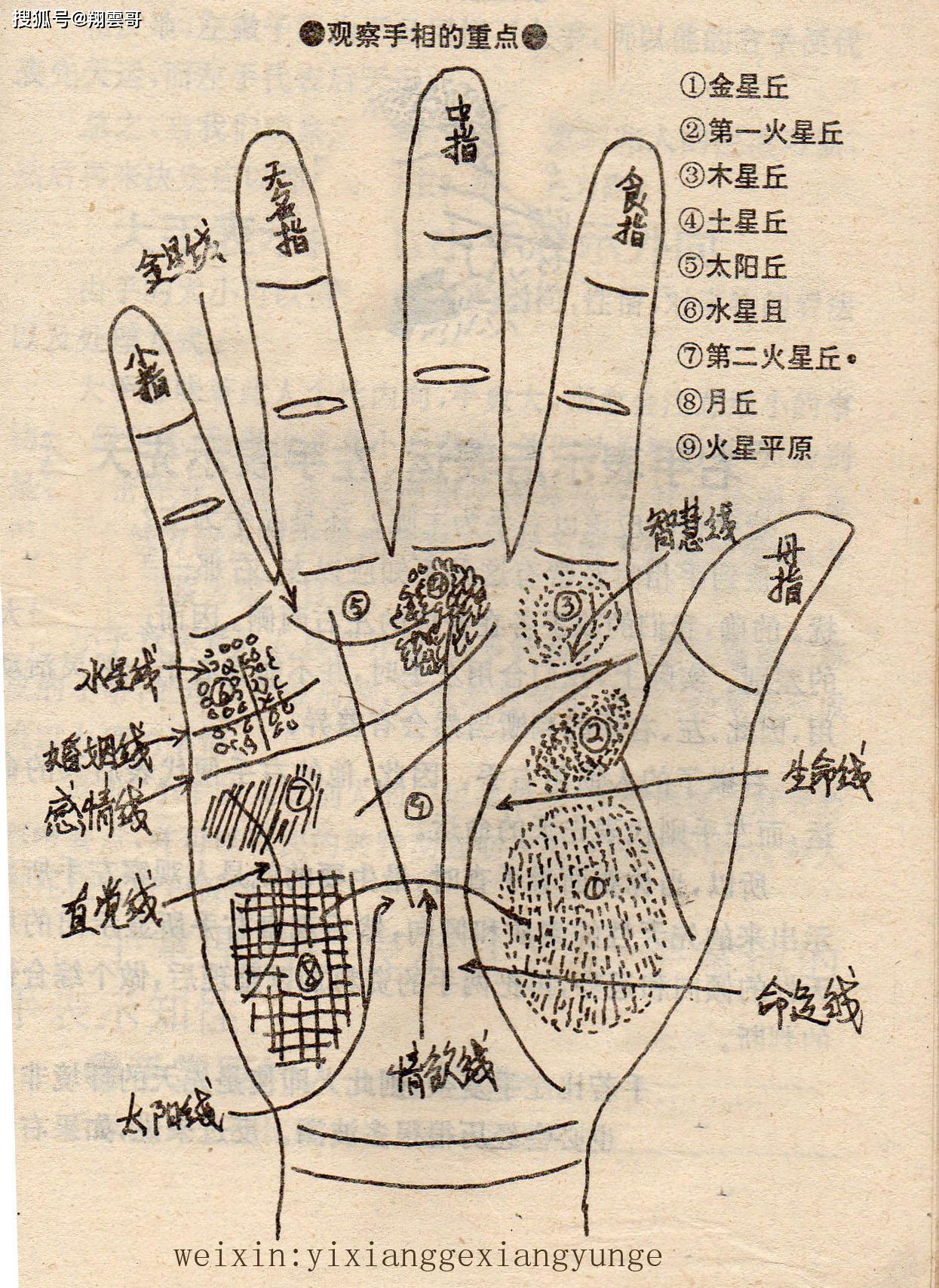 命运掌握在自己手中看手相真的是迷信吗