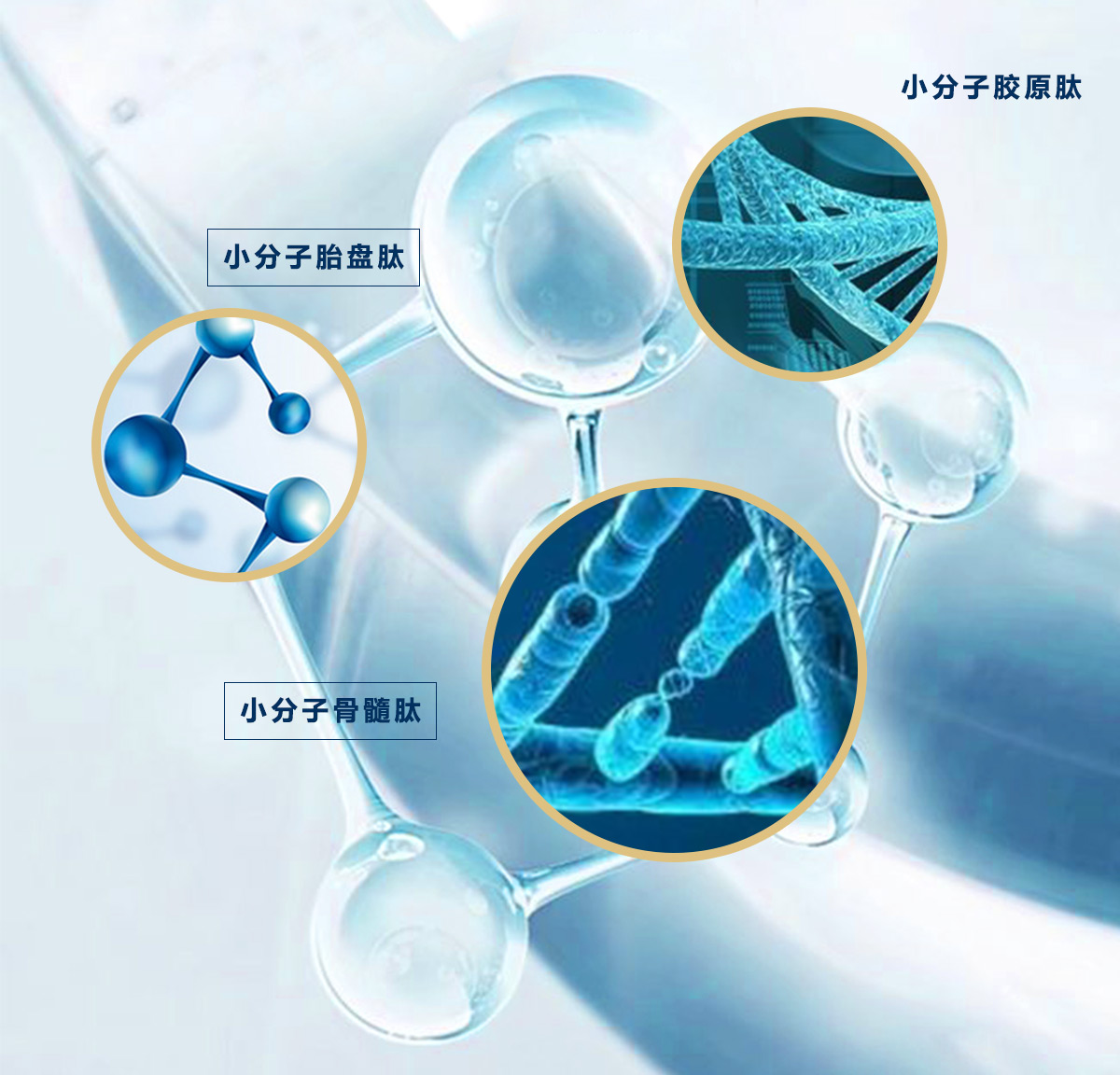 能够让客户认准肽好太宜人产品的原因除了功效就是它的成分了,"小三肽