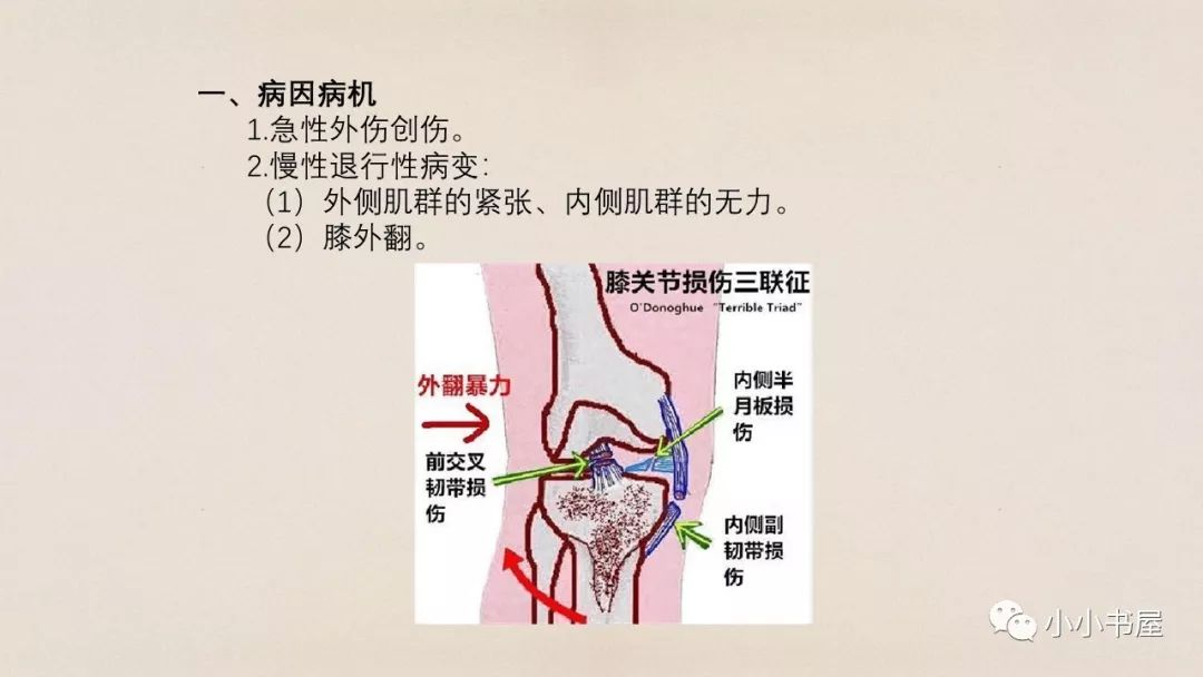 膝内侧疼痛及相关解剖(二)