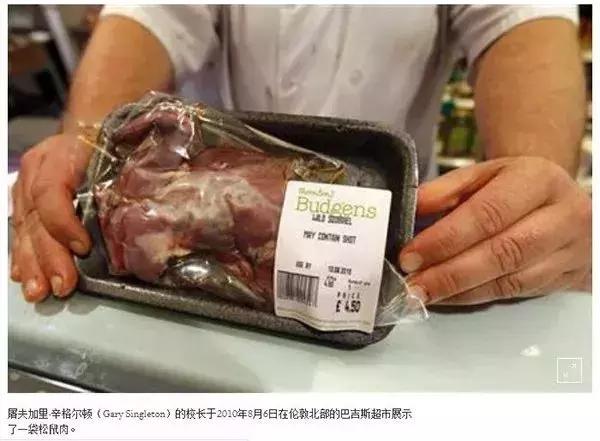 英国是怎么用人道主义方式驱逐松鼠的