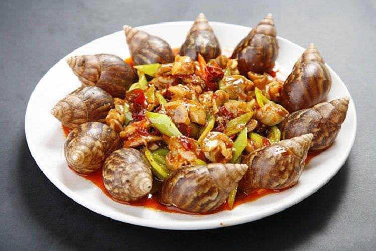 云耕时代白玉蜗牛养殖业收益大市场前景好