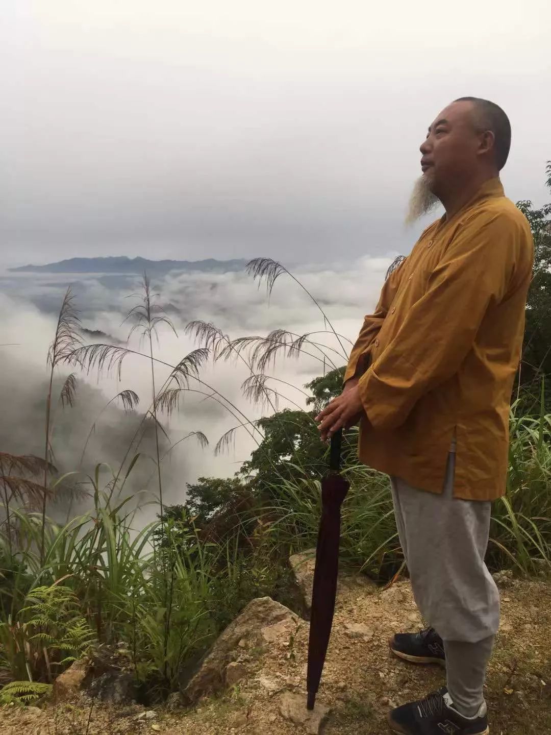 早晚无事的时候我们一起行禅一起坐禅一起去他开垦的小菜园浇水摘