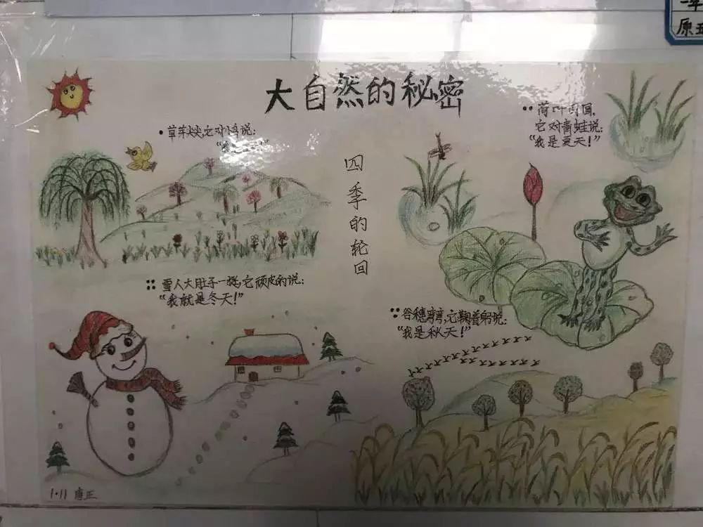 科技节自然笔记厦门图片