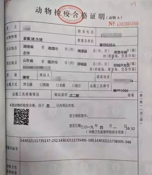 原畜牧站长受贿14万开检疫票被判刑