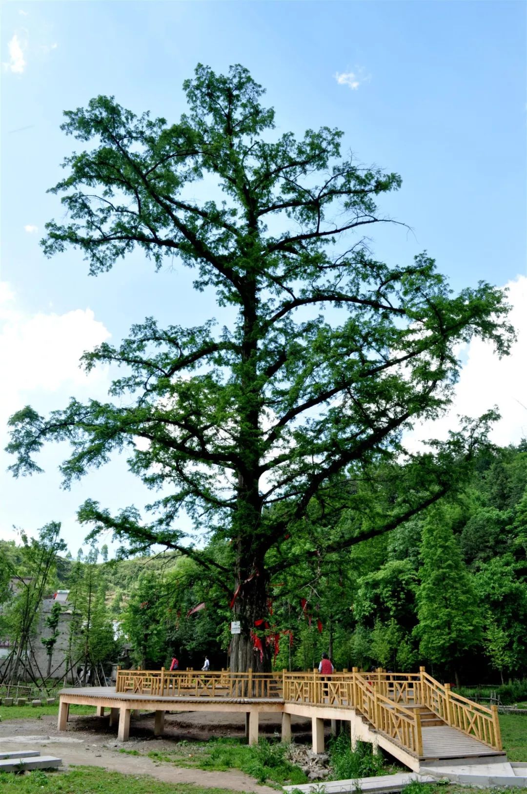 神州观览 | 山水利川_清江