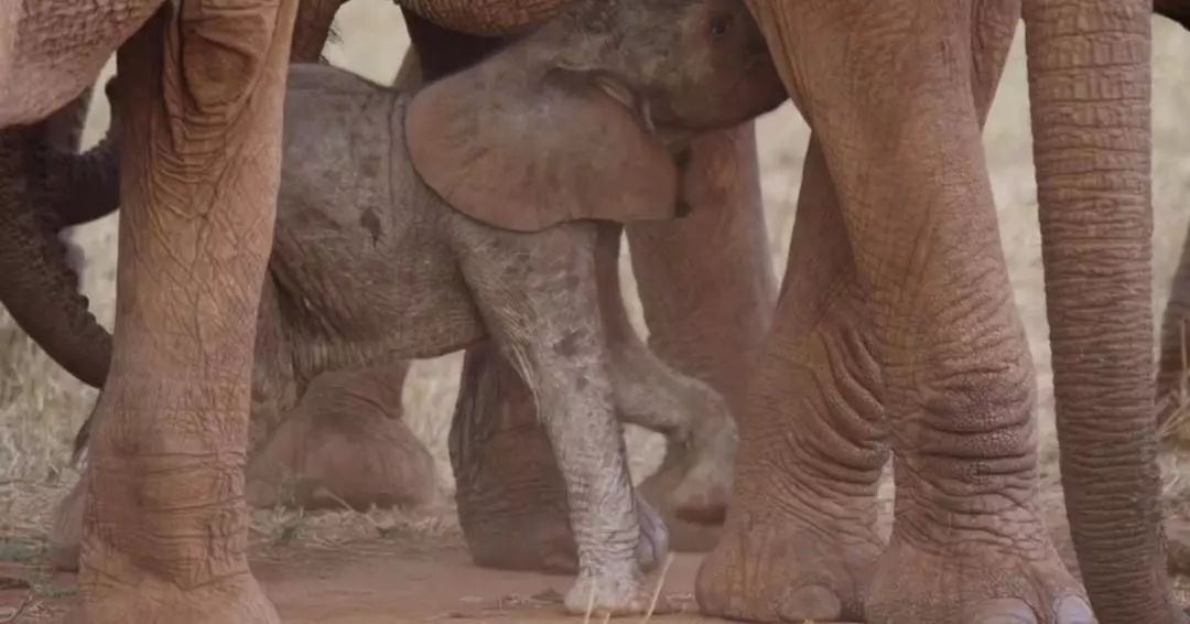 豆瓣9.1的「大女主」,有人笑到打鸣,有人却哭到崩溃