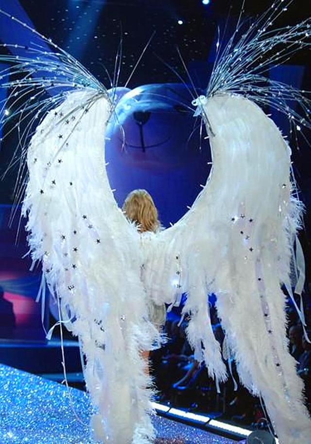 2003维密秀是开创了维密天使翅膀最有意义的一届,维密秀历史最大的