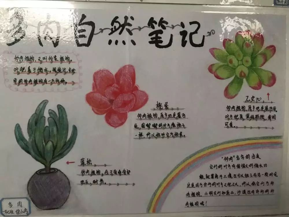 科技节自然笔记厦门图片