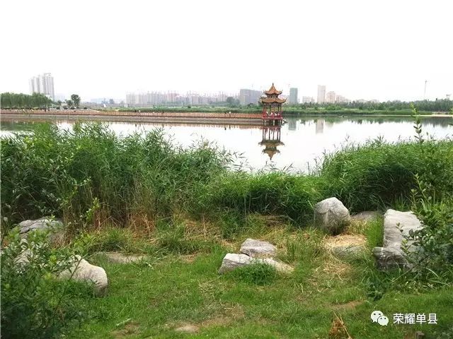 单县旅游景点戴月景区三分路水七分林十里不识归