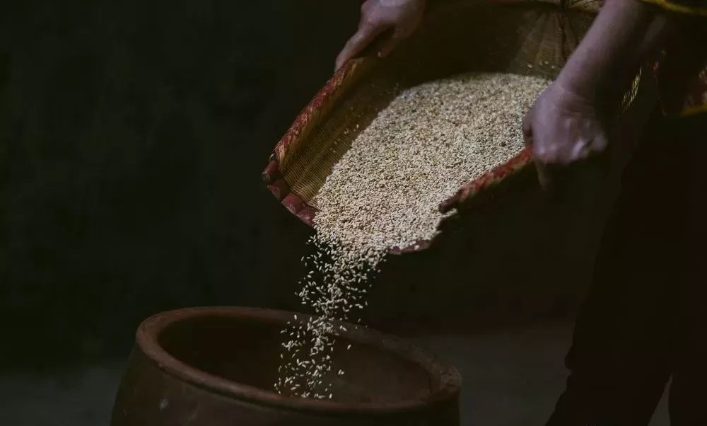 非遗巡礼酒香飘万家梅县客家娘酒酿造技艺