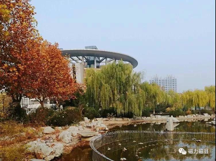 醉了磁县一中原来可以这样美