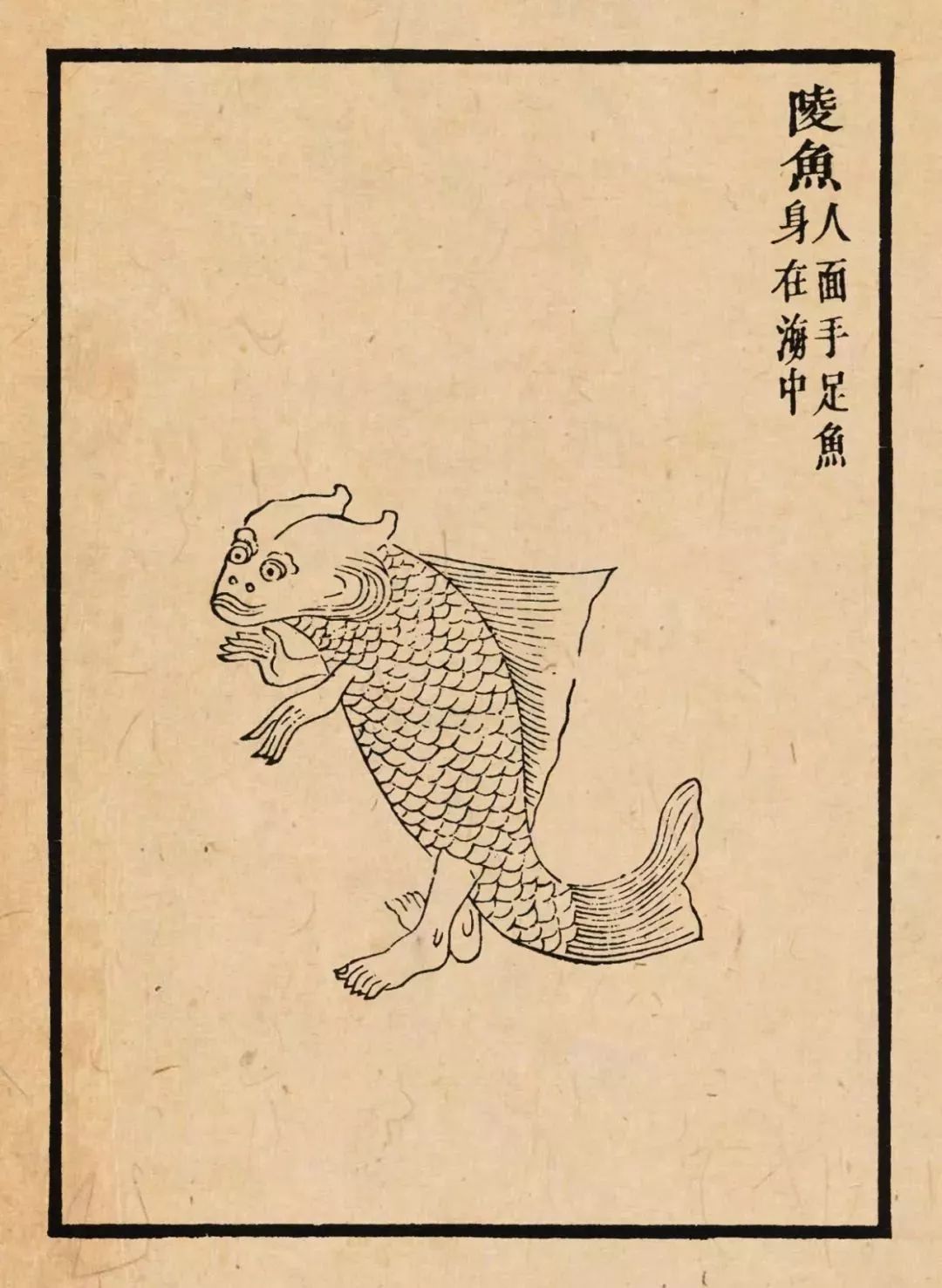 同样是九尾狐 涂山九尾狐成就一个王朝 青丘九尾狐祸害一个王朝 苏妲己