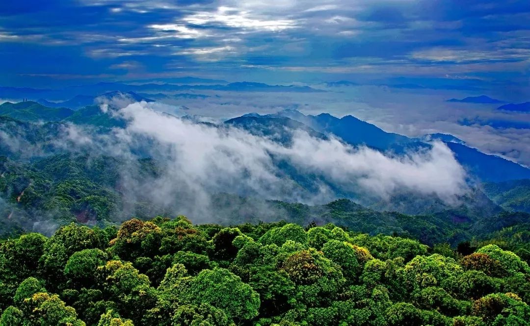 龙岩三明风景其实很近来我氧你你会爱上这里