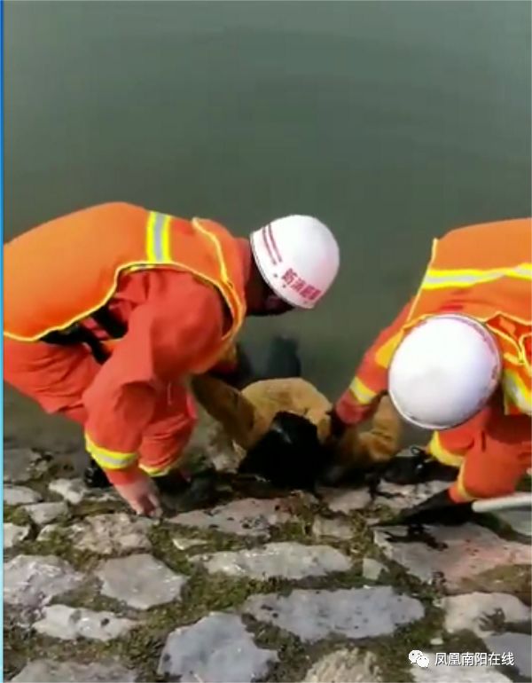 不远的彩虹桥下,一个年轻女子因离婚经受不住感情打击,纵深跳河死亡
