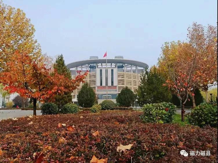 醉了磁县一中原来可以这样美