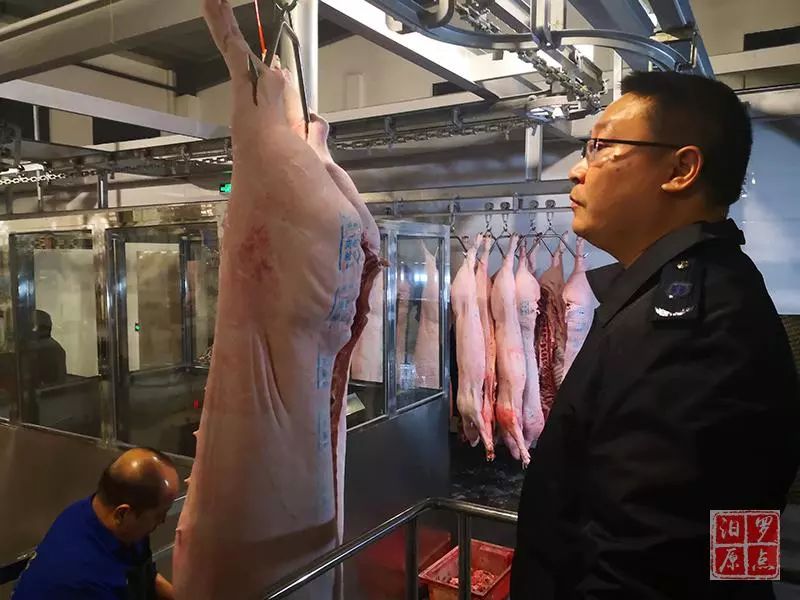 汨罗生猪定点屠宰场新厂今晨试运行 每小时屠宰300头猪_检疫