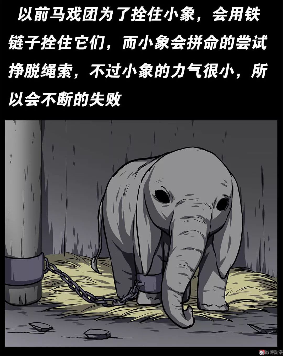 人性贪婪漫画《宠物》能够吐出宝石的可爱萌宠
