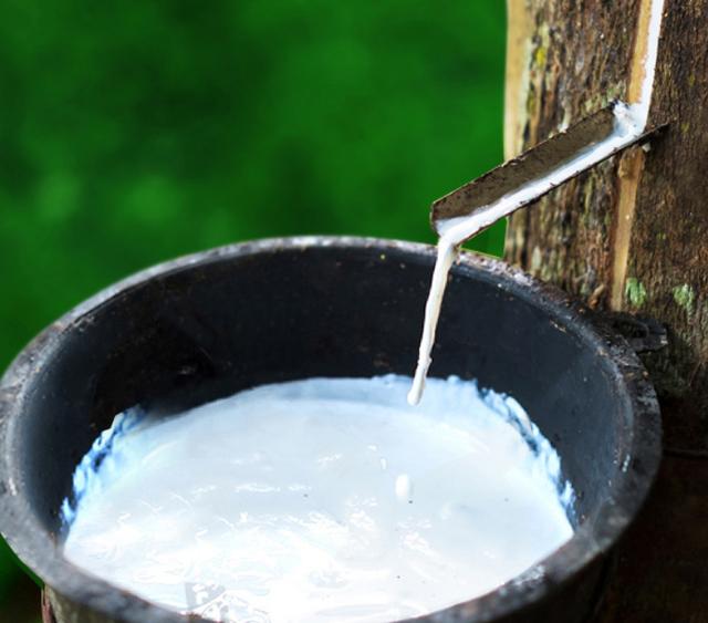 谁说国产乳胶枕比不上进口的,那是因为你还没遇到它!