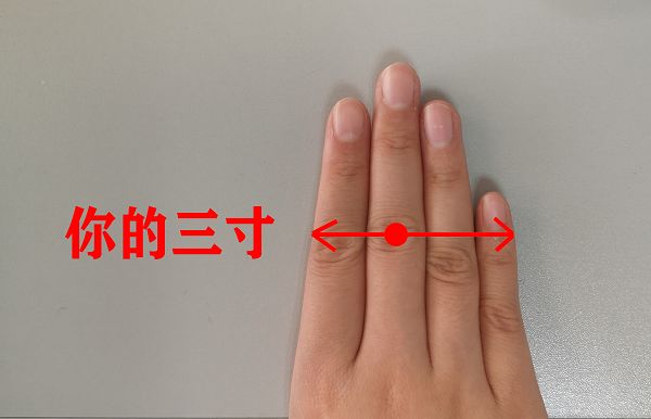 这里的寸指的是身体同身寸,用你自己的手就能快速找到属于你的"三寸".