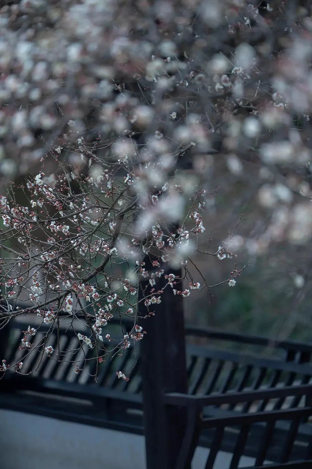 红尘如梦,指间流砂