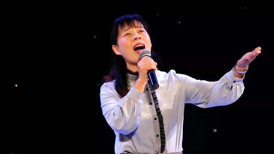 只有一湖水的温柔草原苍茫,能捧着月色的在风里万物举起白旗一叶青草