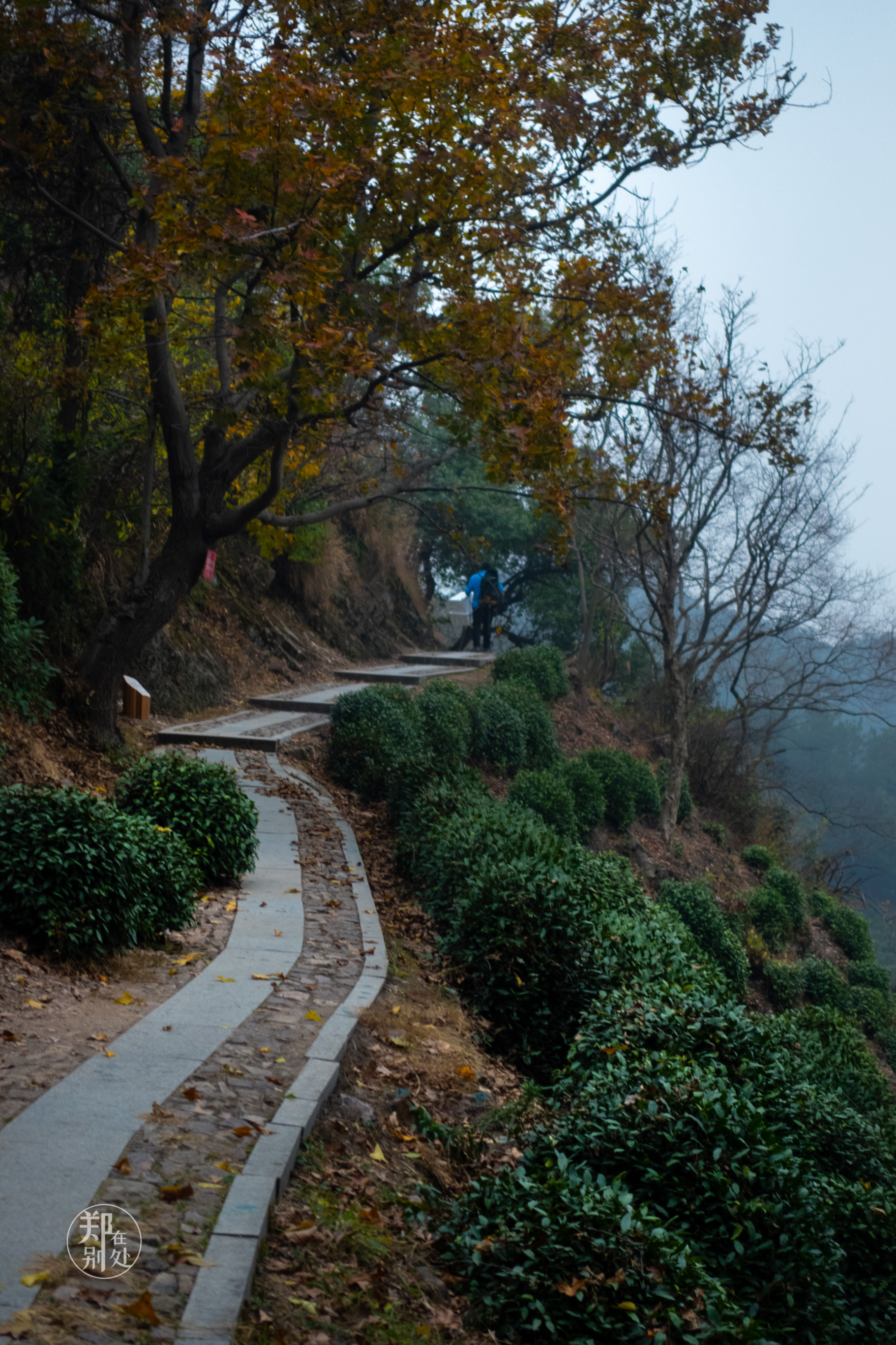 杭州登山路线13:这是条人生路吗?有艰辛,也有风光