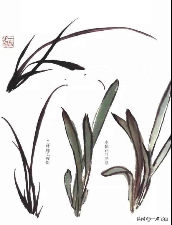 ②水仙花簇根部以淡墨皴擦,加些杂草.