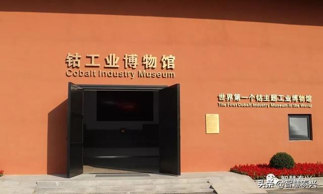 牛了世界首个泰兴建了这样一个博物馆