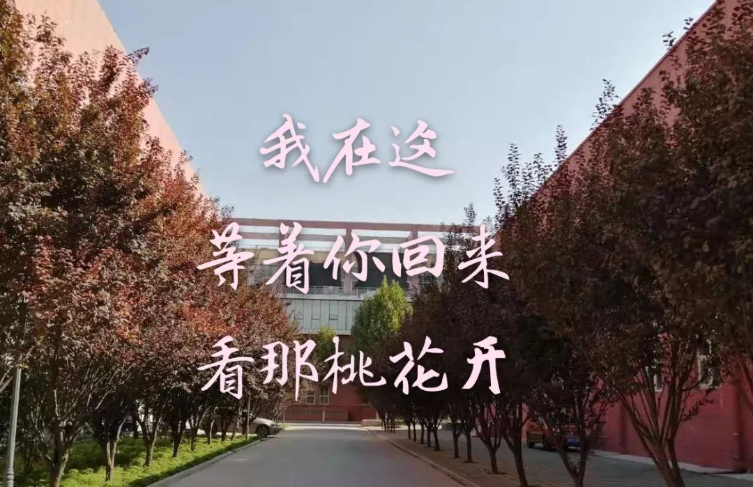 我在这儿等着你回来等着你回来看那桃花开我在这儿等着你回来尝尝家乡