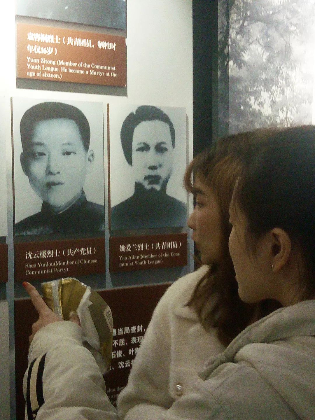 感悟教育真谛体味知行合一