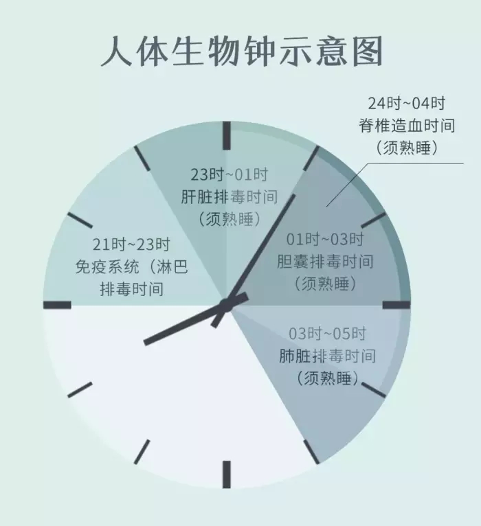 中医睡眠养生项目介绍词
