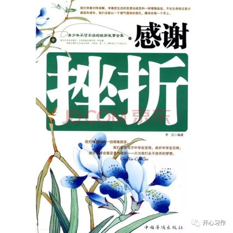 文苑317 感谢挫折_经历