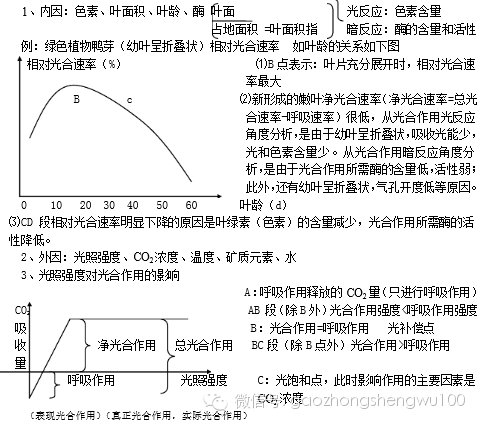 光合作用知識點過程曲線分析高考分值18分大題趕緊收藏吧