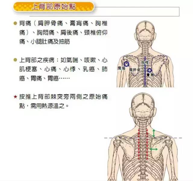 原始点背部按摩位置图图片