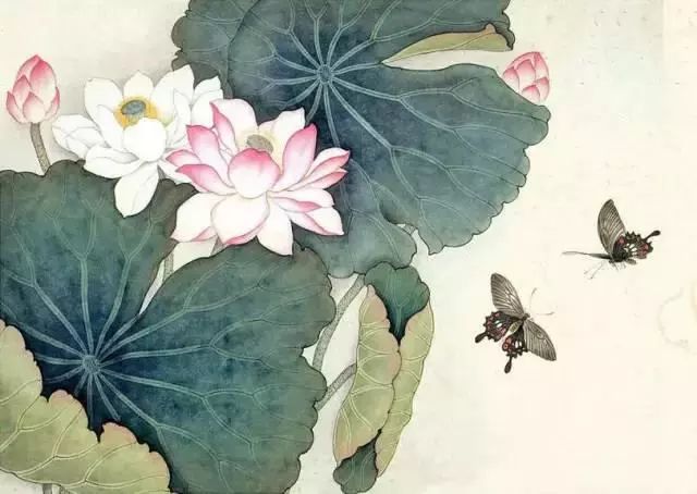 40副精品工笔荷花灵动曼妙别具一格值得收藏