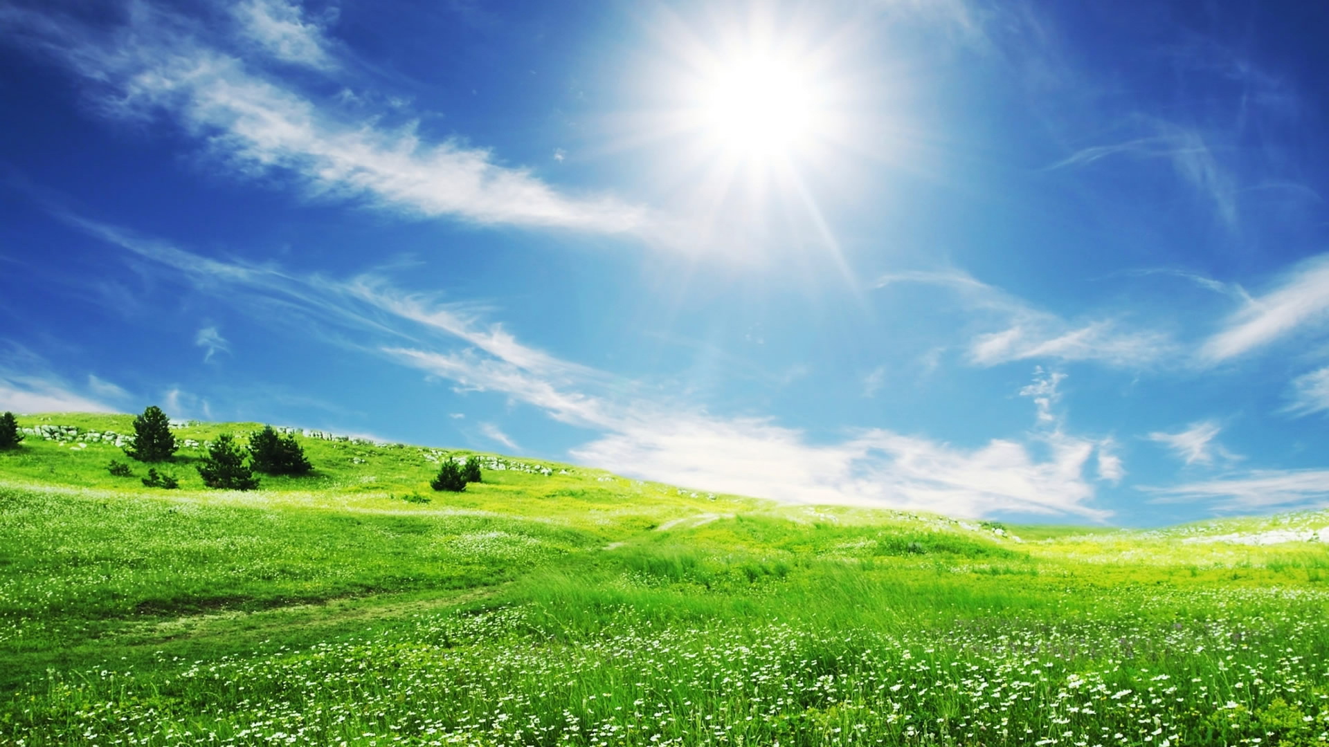 3生肖双喜临门,紫气东来,刮财风,下钱雨,睡着笑醒_好运