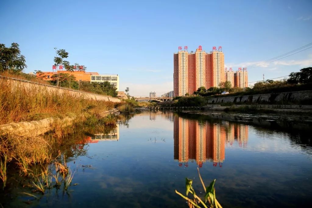 沮河之畔看生灵