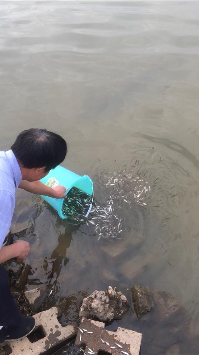 大叔自掏腰包放鱼苗,钓友还认为世界是冷漠的吗?