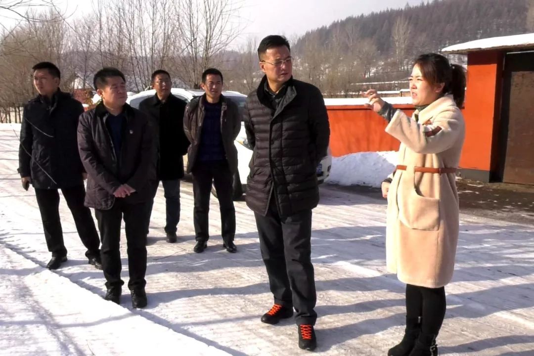 区委书记于大军实地督导违建别墅清查整治情况