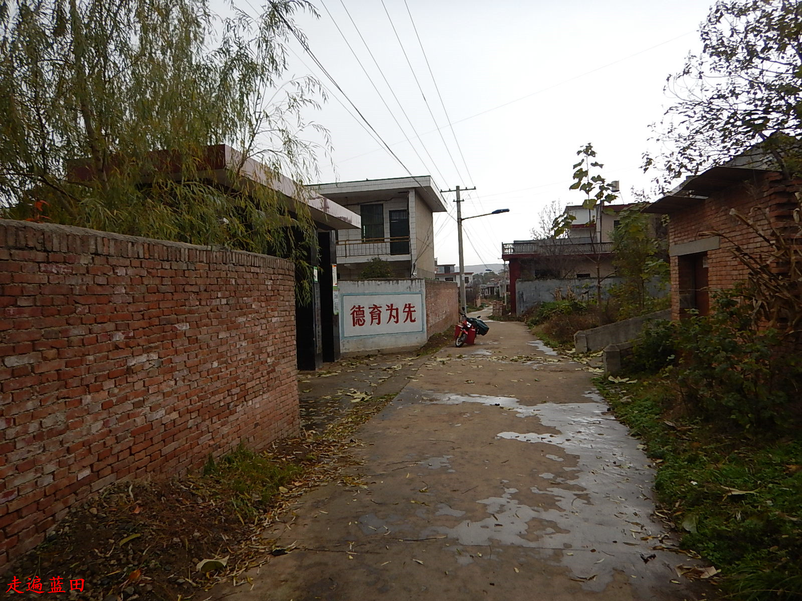 走遍蓝田2019焦岱镇侯家扁村穿越旅行5