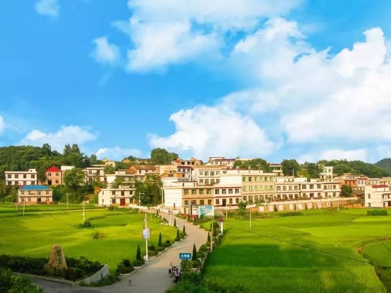 文明实践搭平台强队伍抓载体金山镇新时代文明实践之花处处绽放