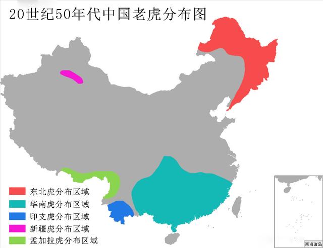 我国有5种老虎,分别是东北虎,华南虎,新疆虎,孟加拉虎以及印度支那虎