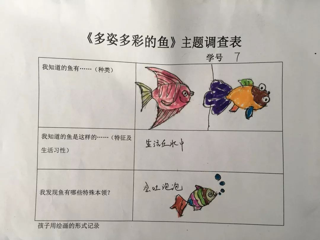 海洋生物调查表图片