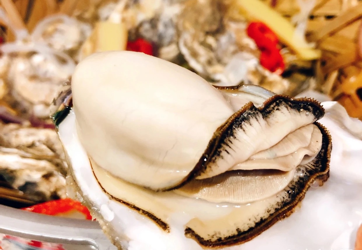 第412场美食美酒交流品鉴活动:土蚝金 竹笼蒸原只乳山蚝