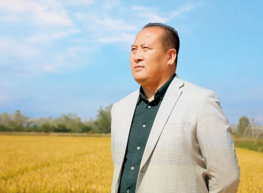 杨晔稻渔共作田生金