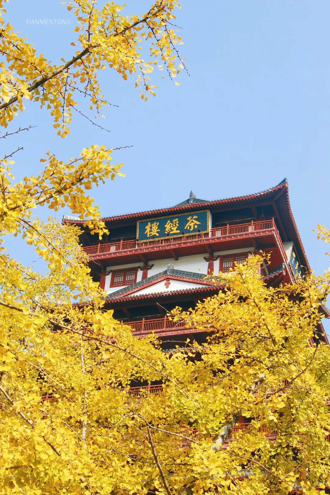 逃避工作4小时,步行10000 ,我在天门找到了.